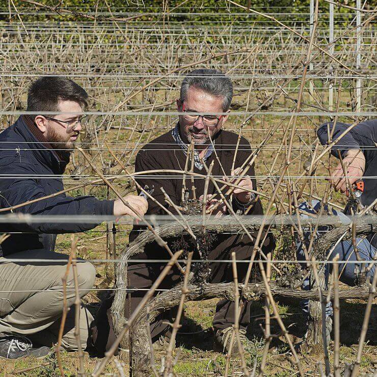 Le nostre radici contadine