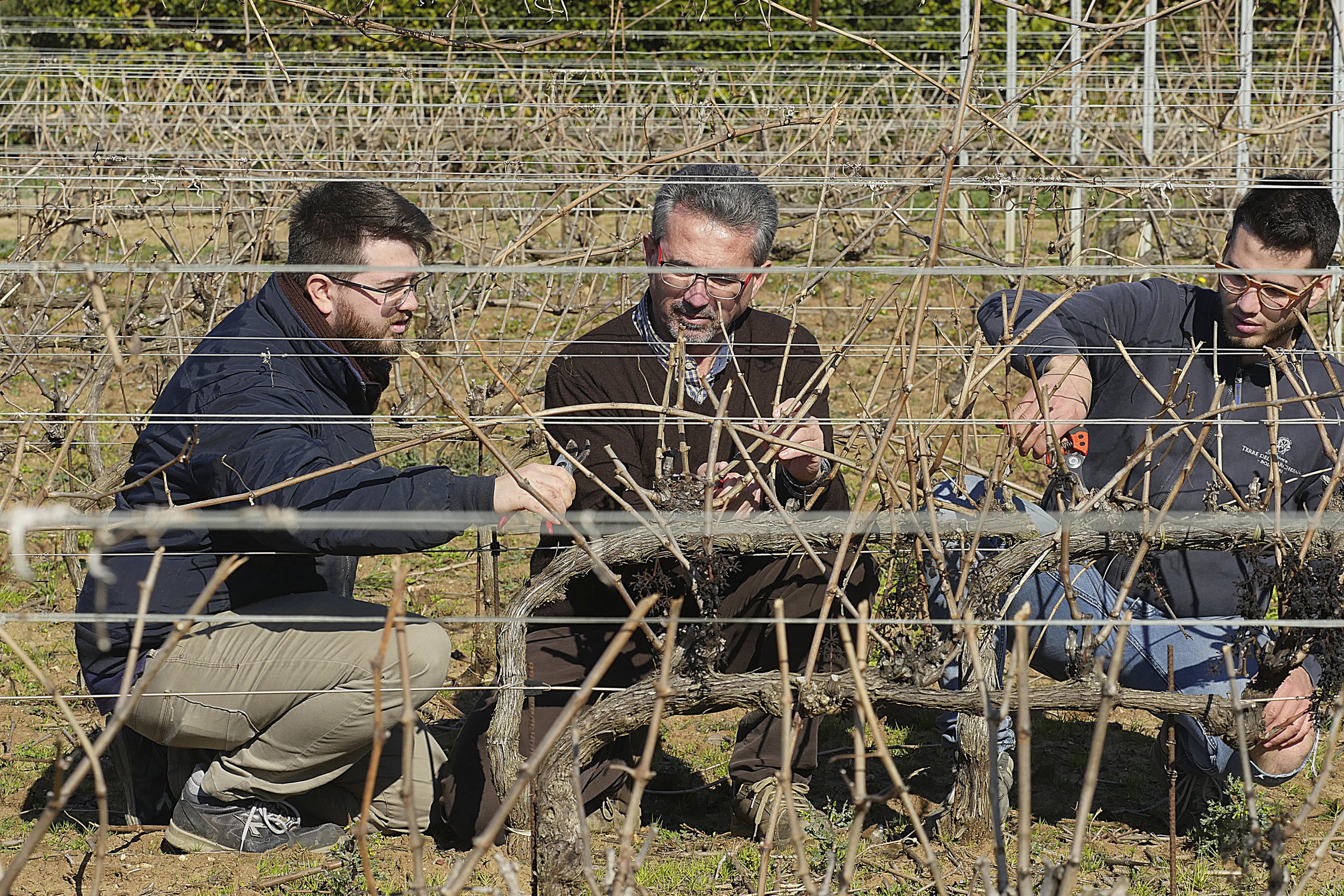 Terre del Marchesato Landwirtschaftliche Wurzeln