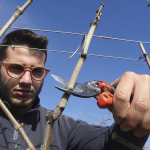 Le nostre radici contadine