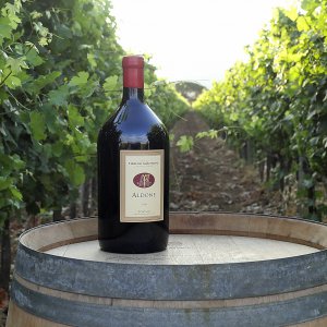 L'essenza dei vini di Bolgheri