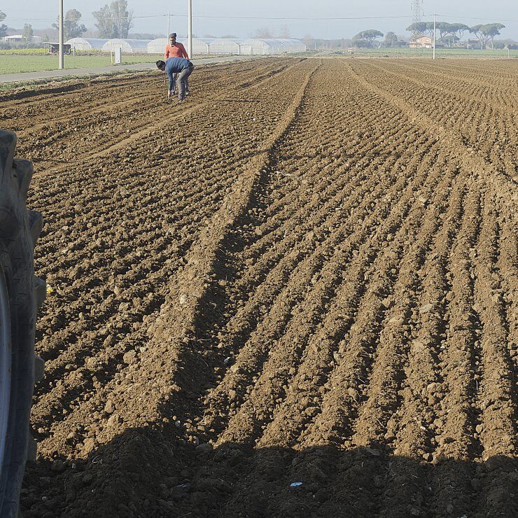 Una catena di valori familiari per una viticoltura ecosostenibile