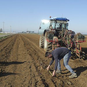 Una catena di valori familiari per una viticoltura ecosostenibile