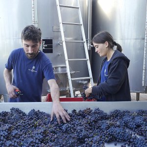 La nostra cantina: una piccola perla di efficienza e modernità