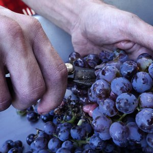 La nostra cantina: una piccola perla di efficienza e modernità