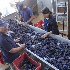 La nostra cantina: una piccola perla di efficienza e modernità