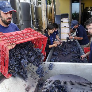 La nostra cantina: una piccola perla di efficienza e modernità