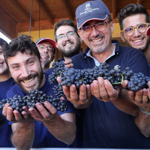 La nostra cantina: una piccola perla di efficienza e modernità