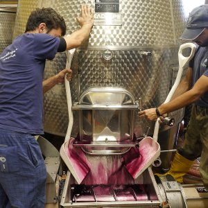 La nostra cantina: una piccola perla di efficienza e modernità