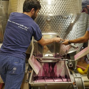 La nostra cantina: una piccola perla di efficienza e modernità