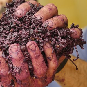 La nostra cantina: una piccola perla di efficienza e modernità