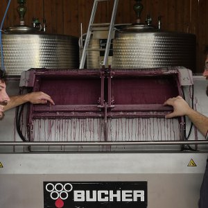 La nostra cantina: una piccola perla di efficienza e modernità