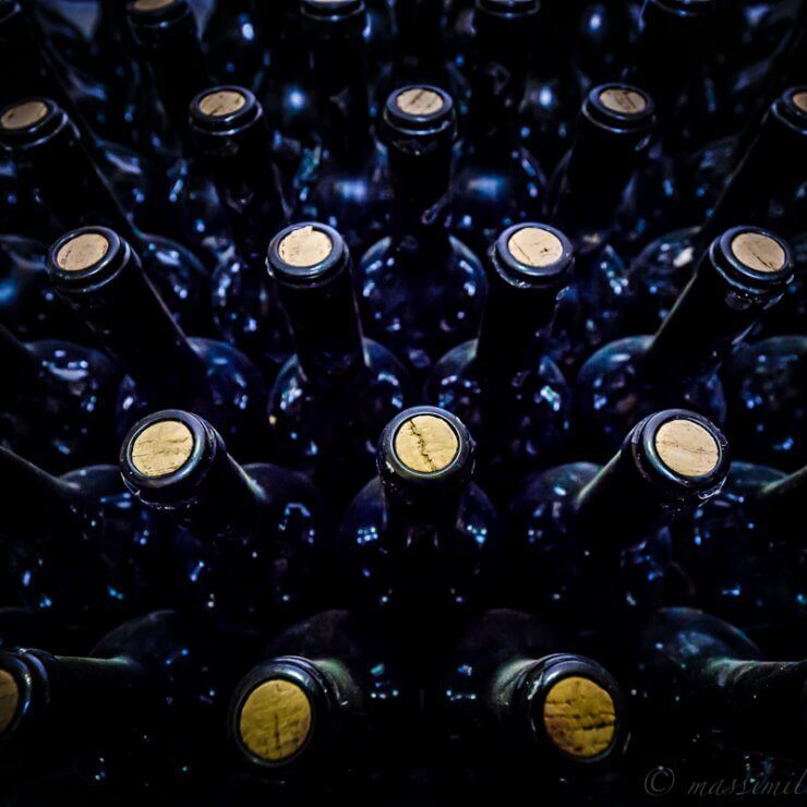 Our winery: efficiency and modernity little gem