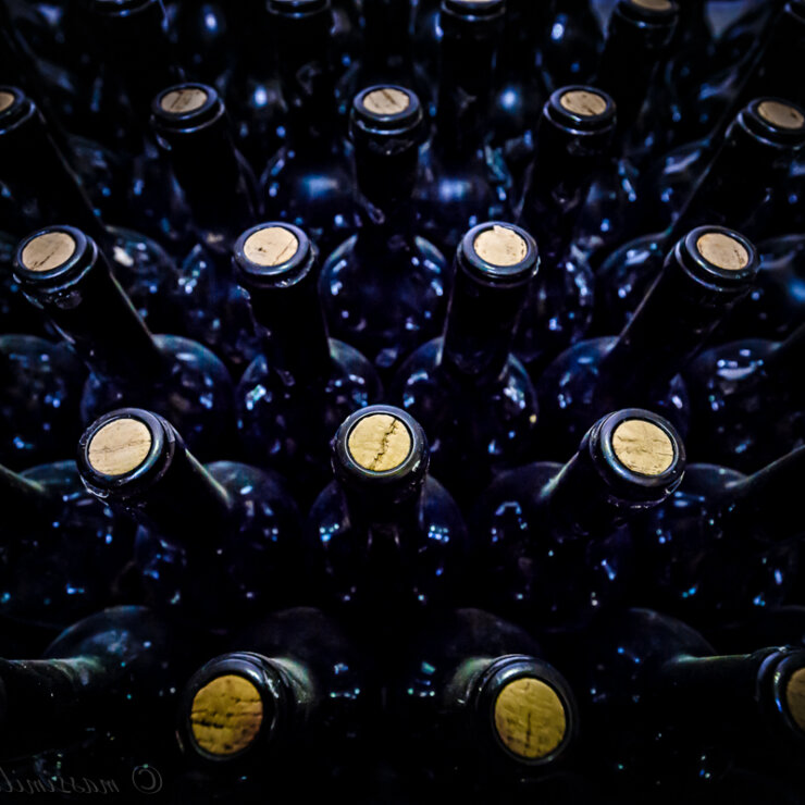 La nostra cantina: una piccola perla di efficienza e modernità