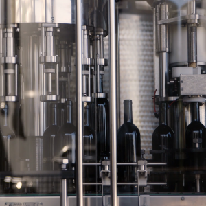 La nostra cantina: una piccola perla di efficienza e modernità