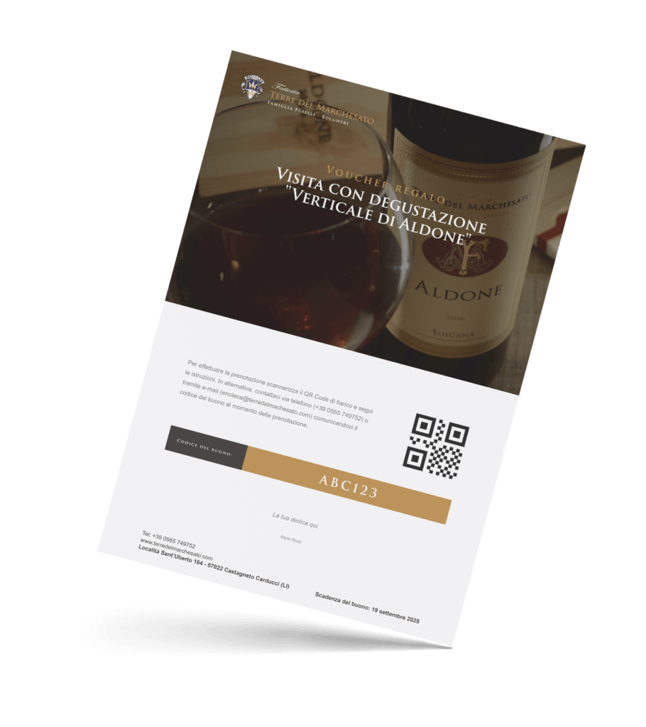 “Aldone Verticale” Besuch und Weinprobe